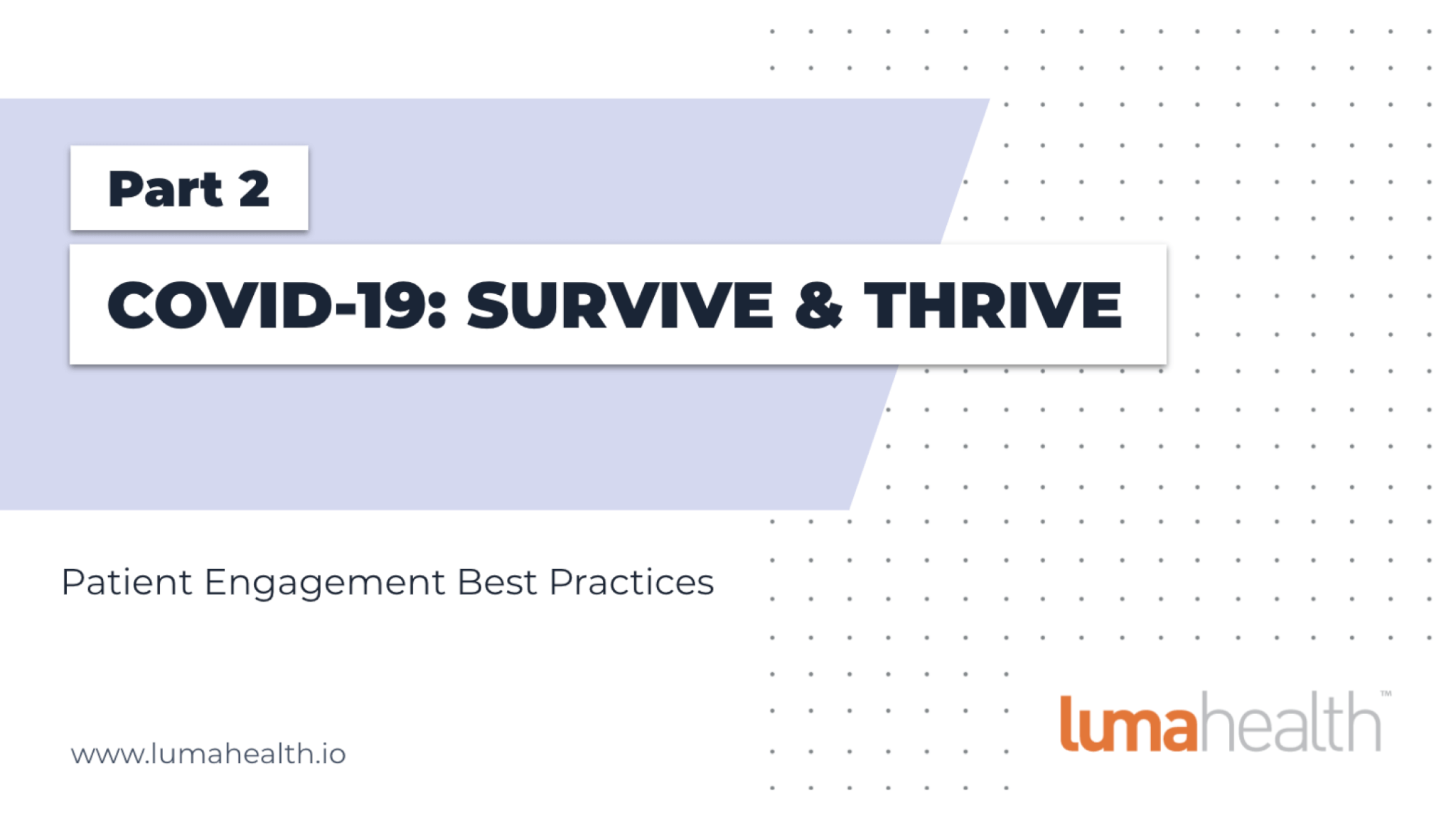 Survive & Thrive: Part 2